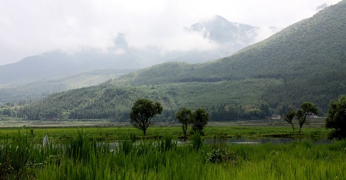 小片
