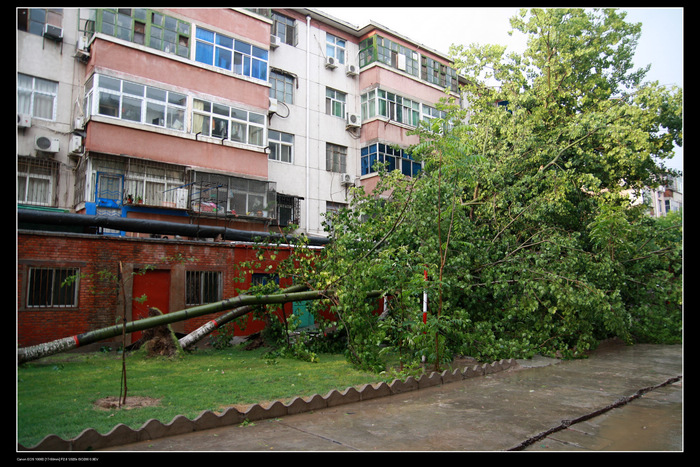 雨后