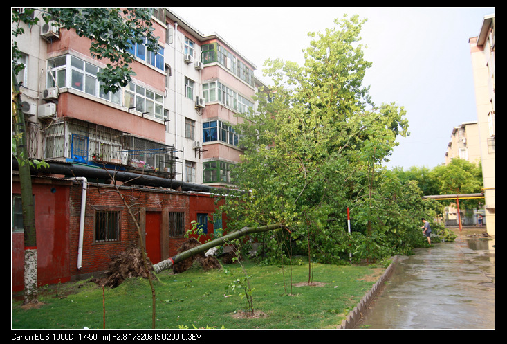 雨后