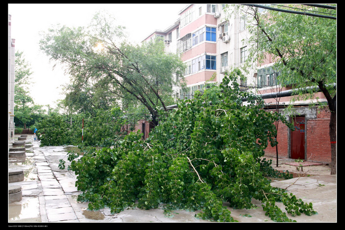 雨后