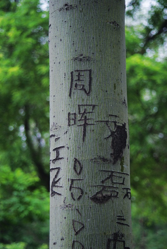 戚城之心痛！！
