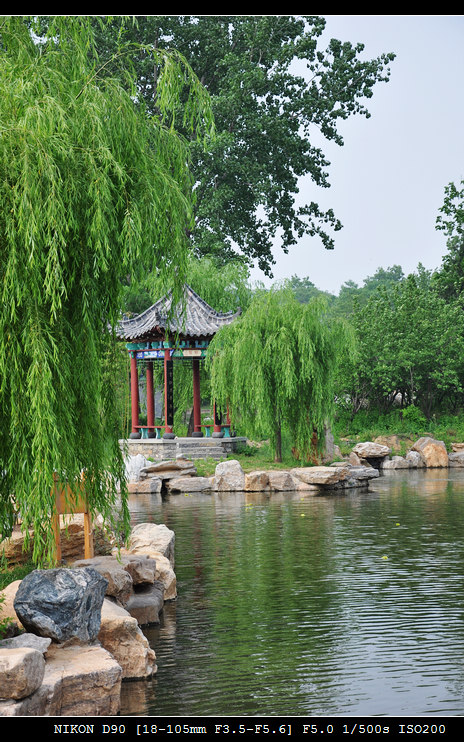 竹泉村