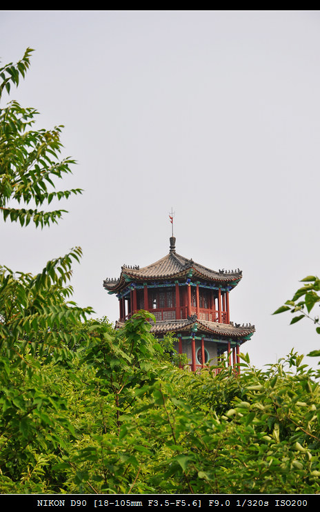 竹泉村