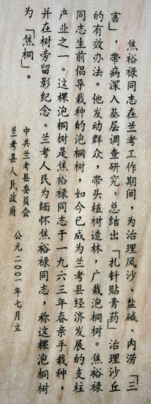 焦桐