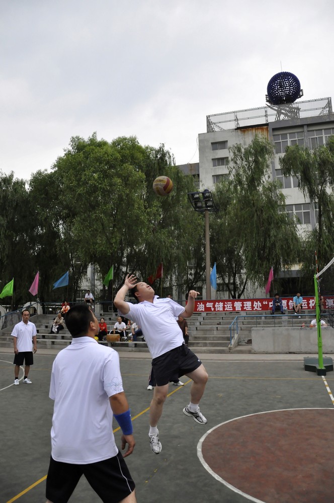 中原储运排球赛