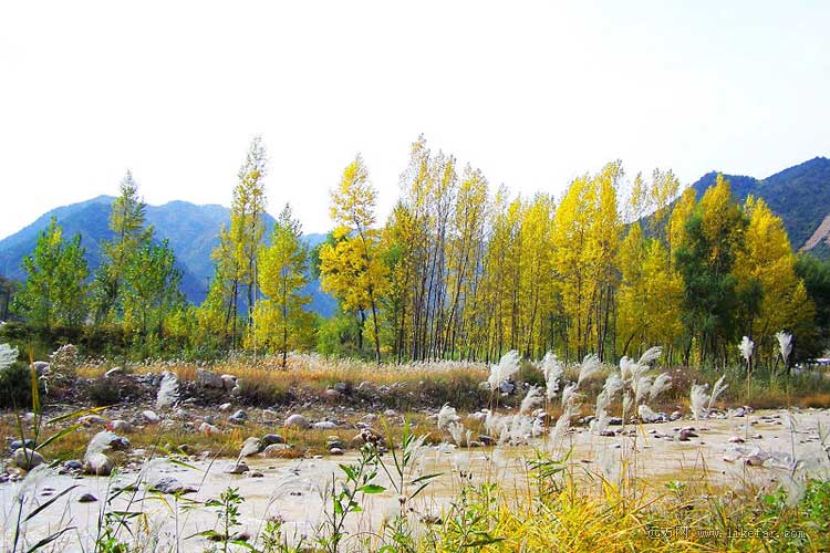 山西美景集汇