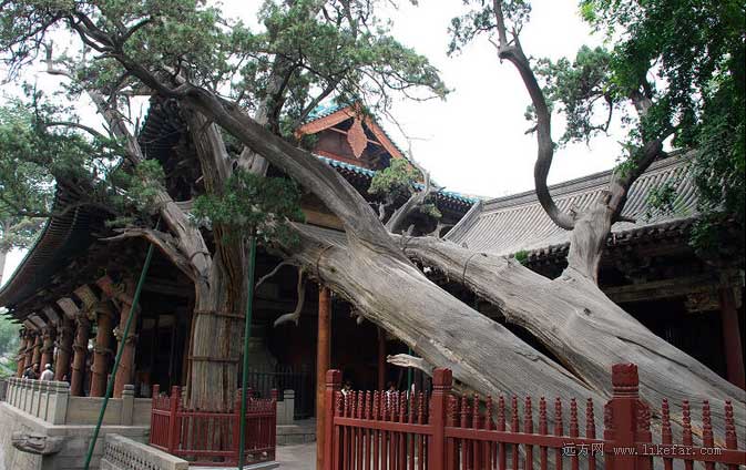 山西美景集汇