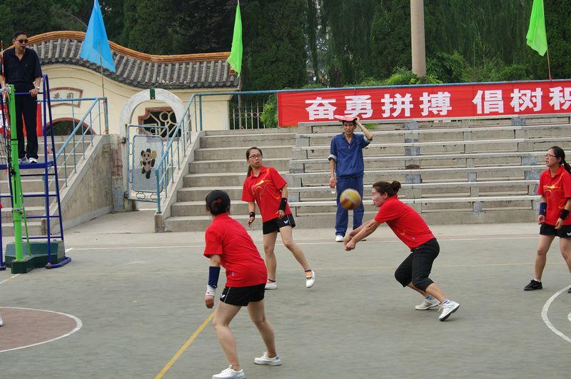 中原储运排球赛