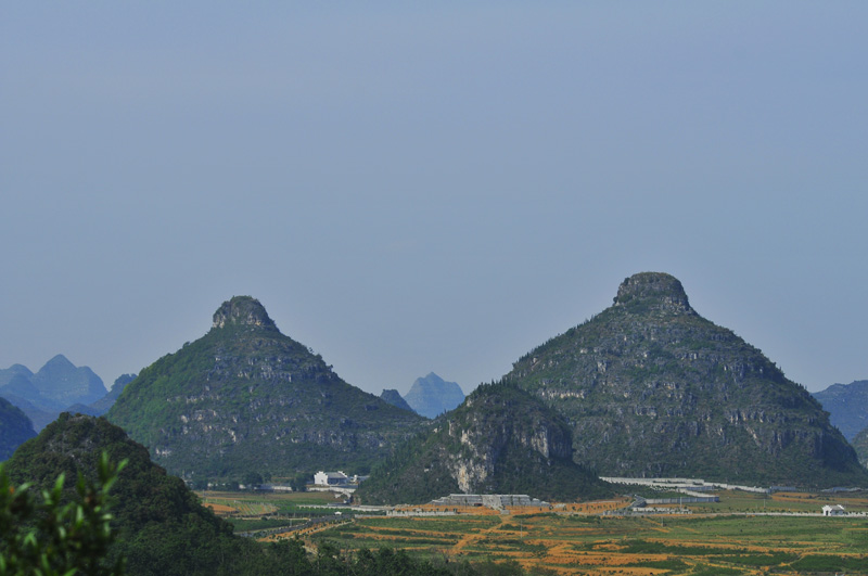 ''丰胸广告''双乳峰(小儿不宜)