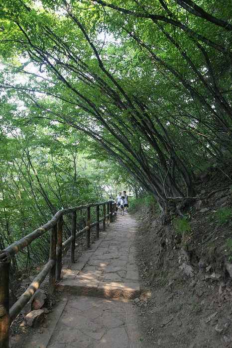 比亚迪太行大峡谷自驾游纪实