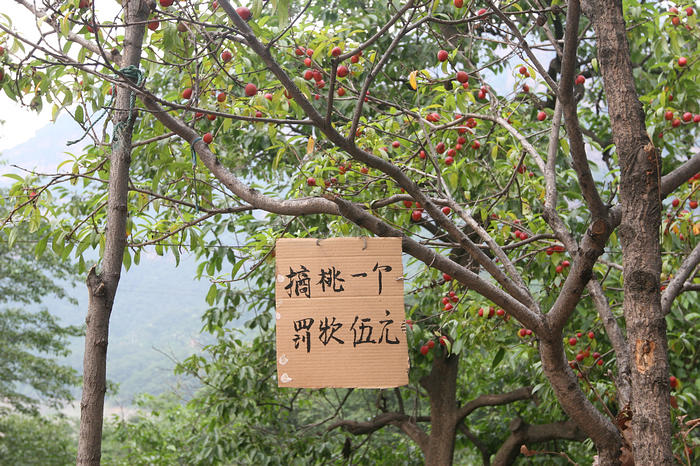 比亚迪太行大峡谷自驾游纪实