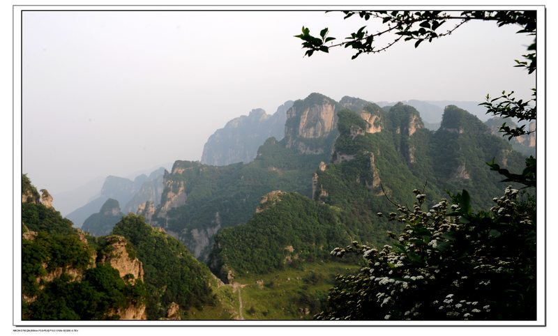 王莽岭