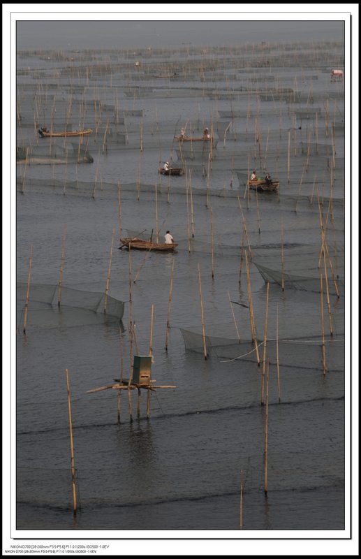 平阳湖胜景