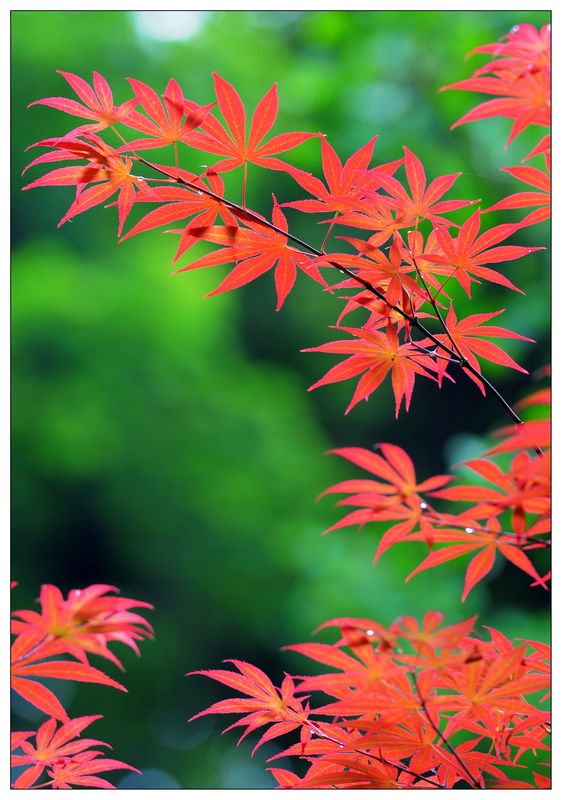 随拍小品