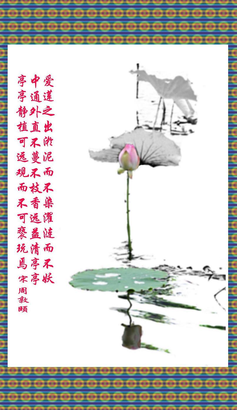 爱莲图