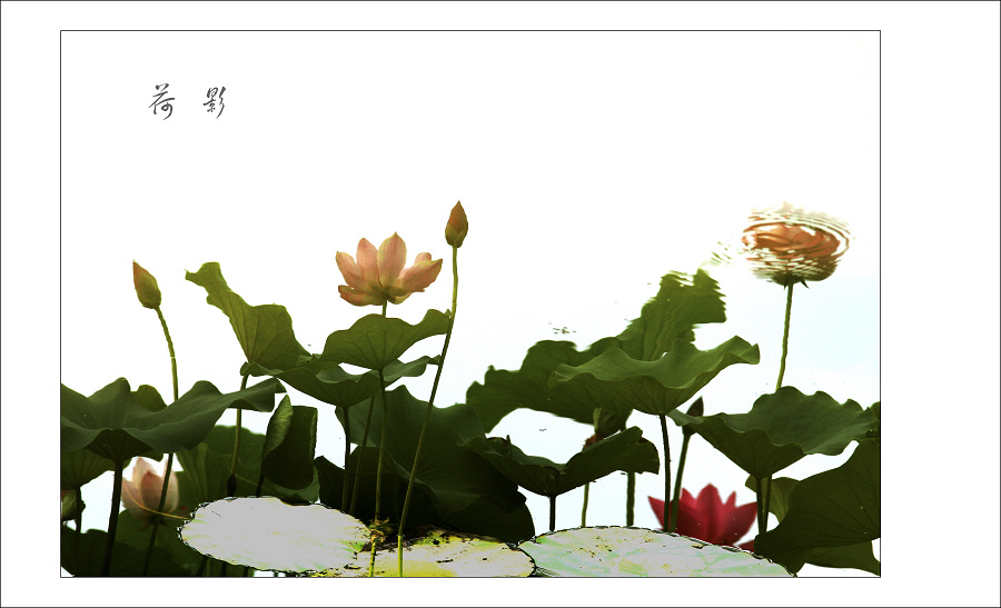 [原创]  5D画册