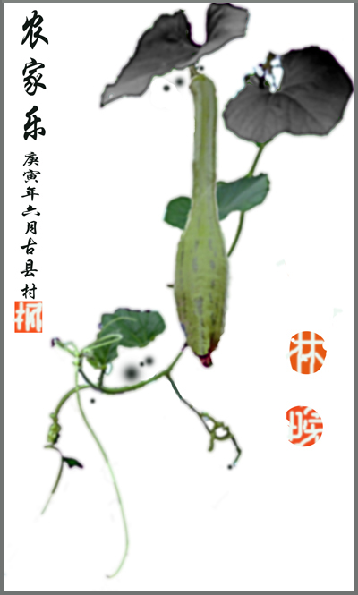 农家乐