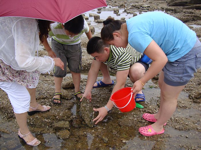 日照随拍