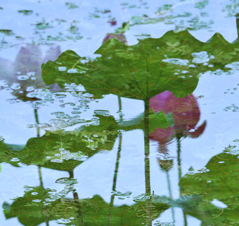 濮--荷