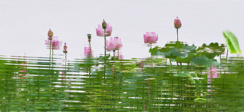 濮--荷