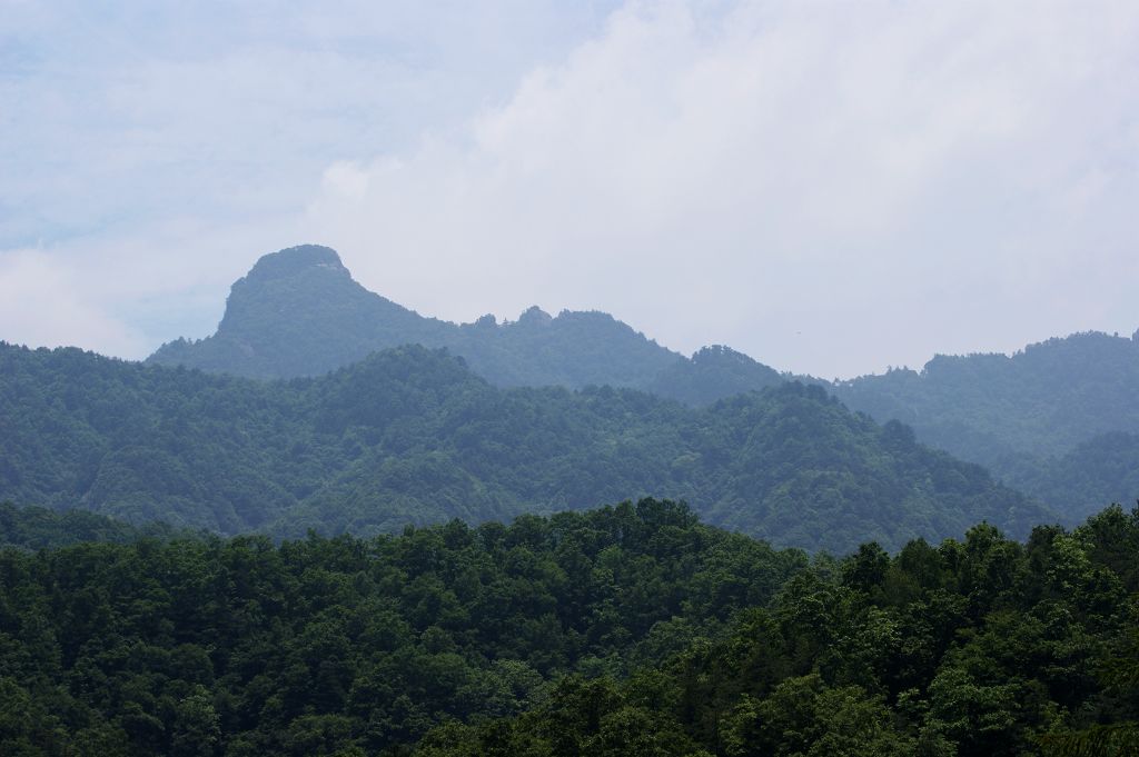 白云山原始森林风景[原创]