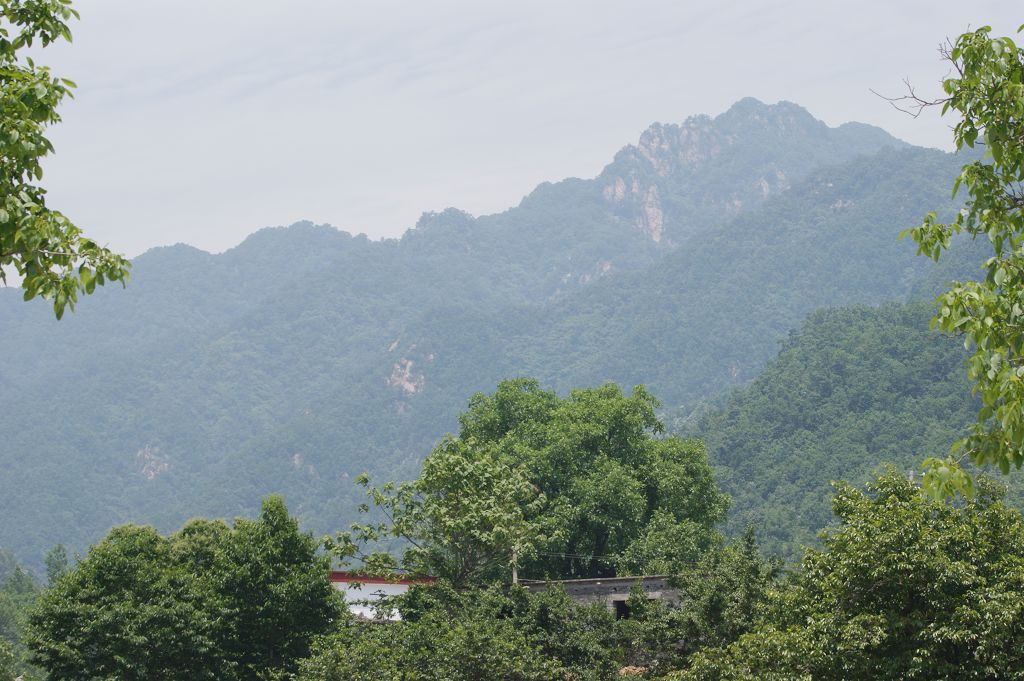 白云山原始森林风景[原创]