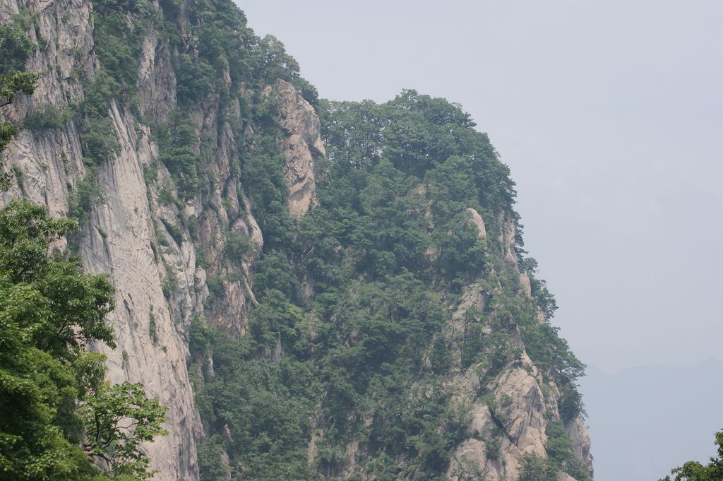 白云山原始森林风景[原创]