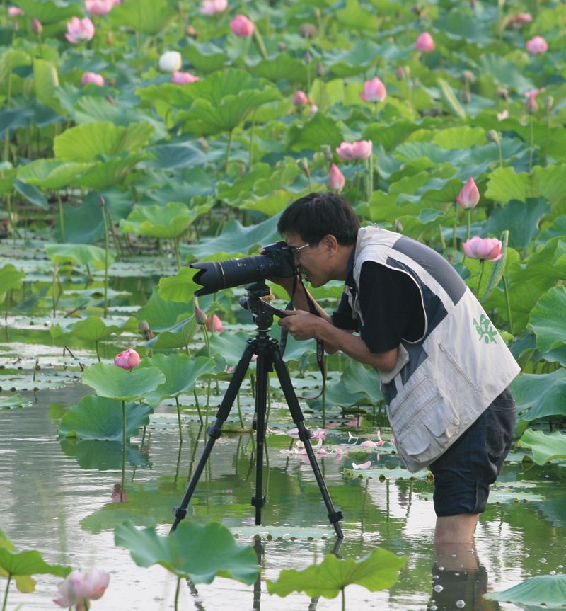 榜样