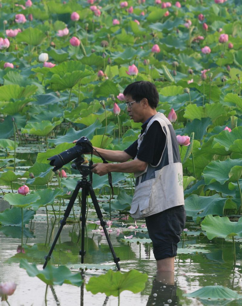 榜样