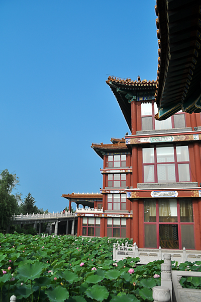 老夫把一组风景图发在了花鸟虫草栏目了