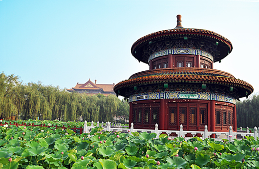 老夫把一组风景图发在了花鸟虫草栏目了