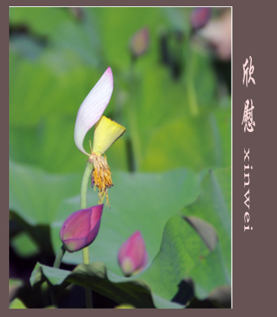 恋偶