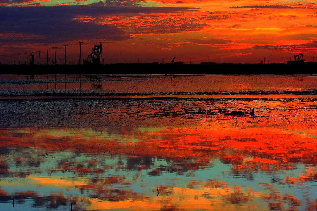 秋