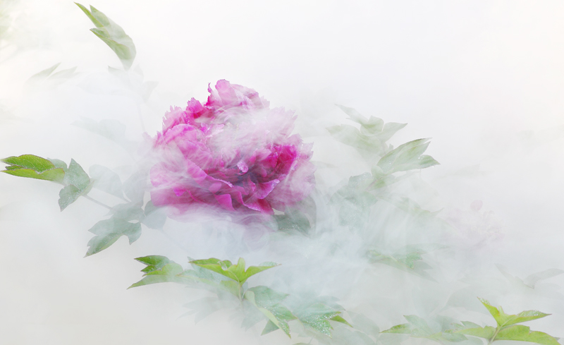 那时花开（不断添加中）