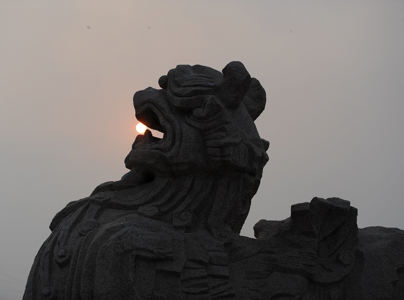 杂片