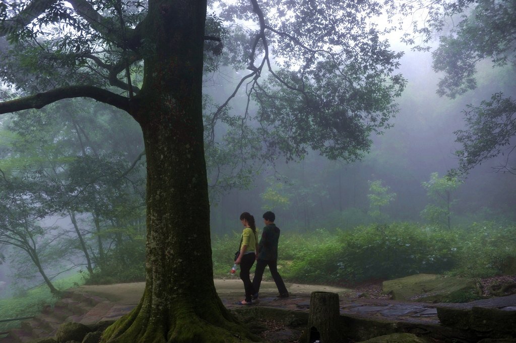 庐山旅游人