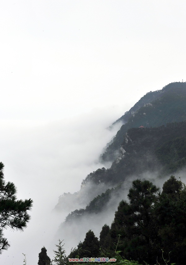雾锁庐山