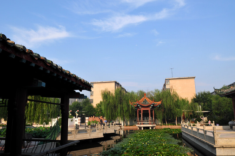 我美丽的社区