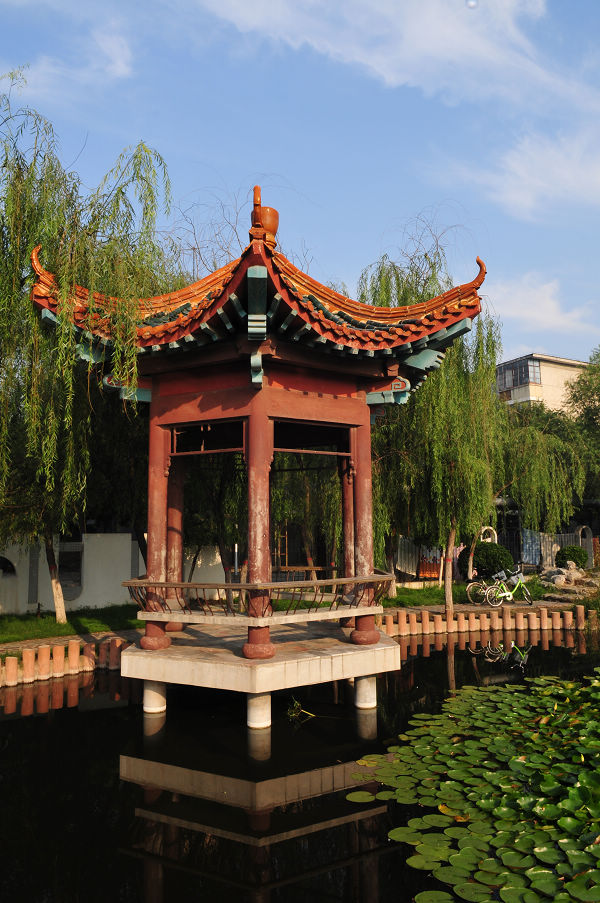 我美丽的社区