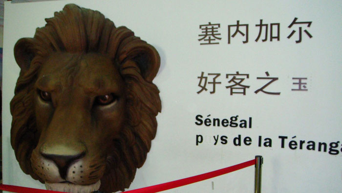 上海世博会i非洲印象