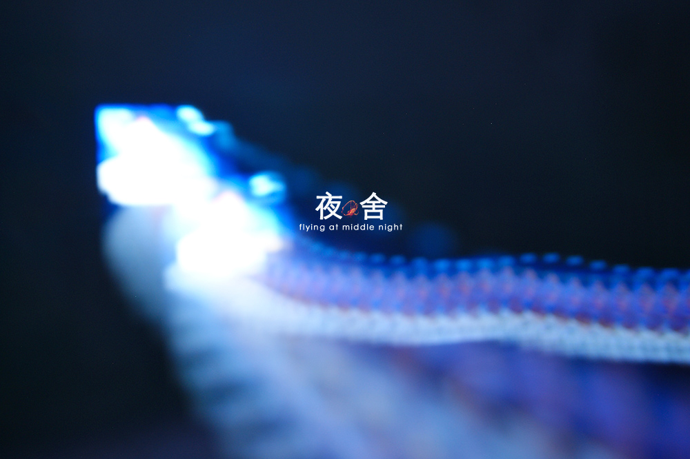 深夜，宿舍乱拍