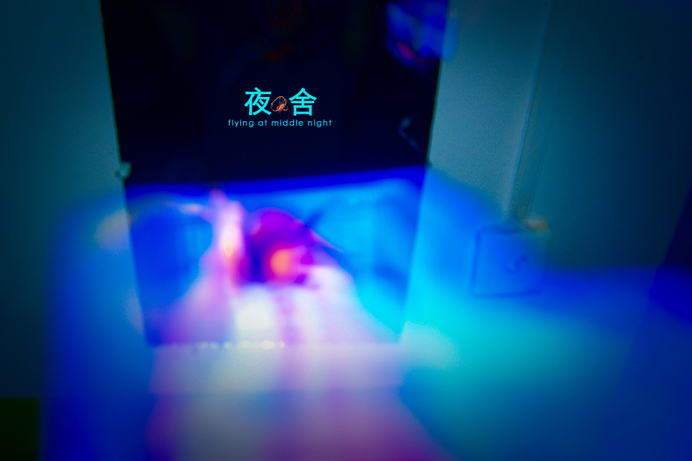 深夜，宿舍乱拍