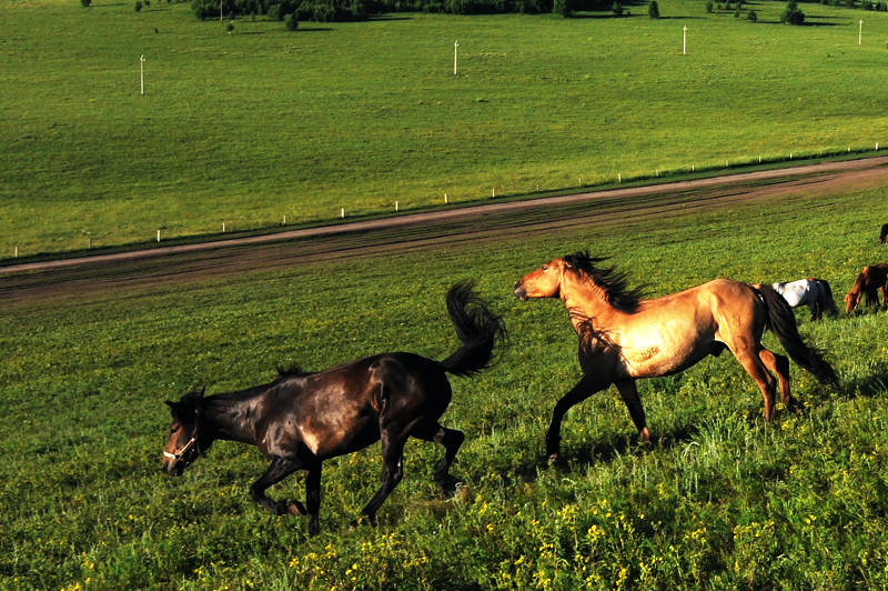 坝上3组
