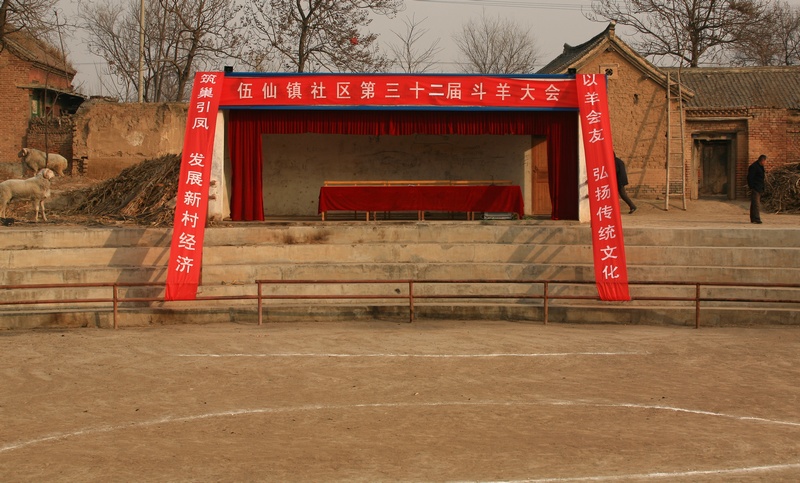 五仙镇斗羊一瞥！