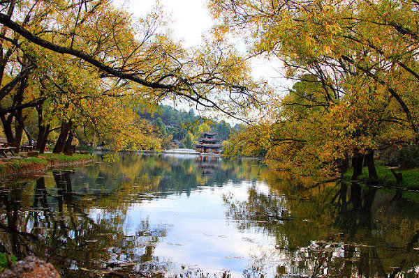 岸边风光