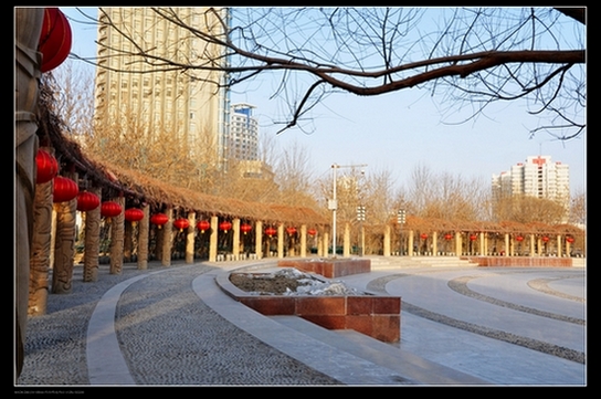 孔雀河剪影