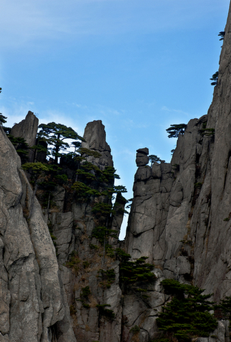 黄山风光
