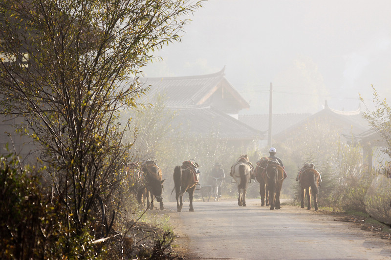 茶马古道风光