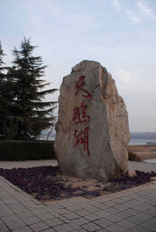三门峡天鹅湖印象