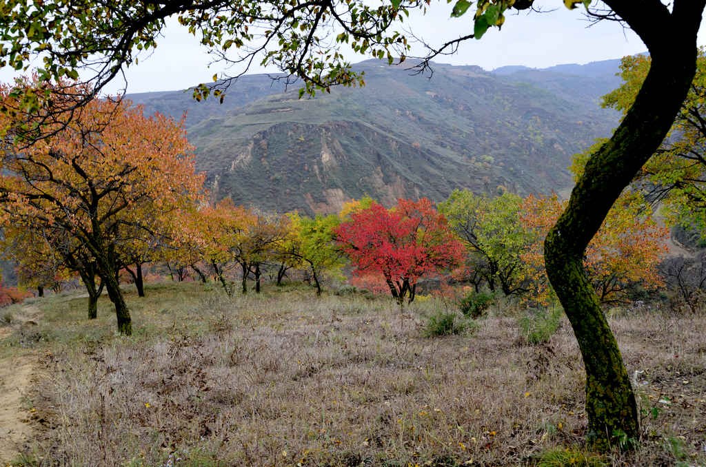 秋雨中的陕北油田小景